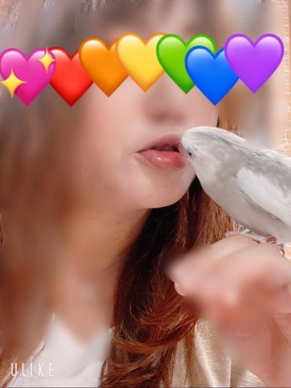 川島（変態美熟女お貸しします。）