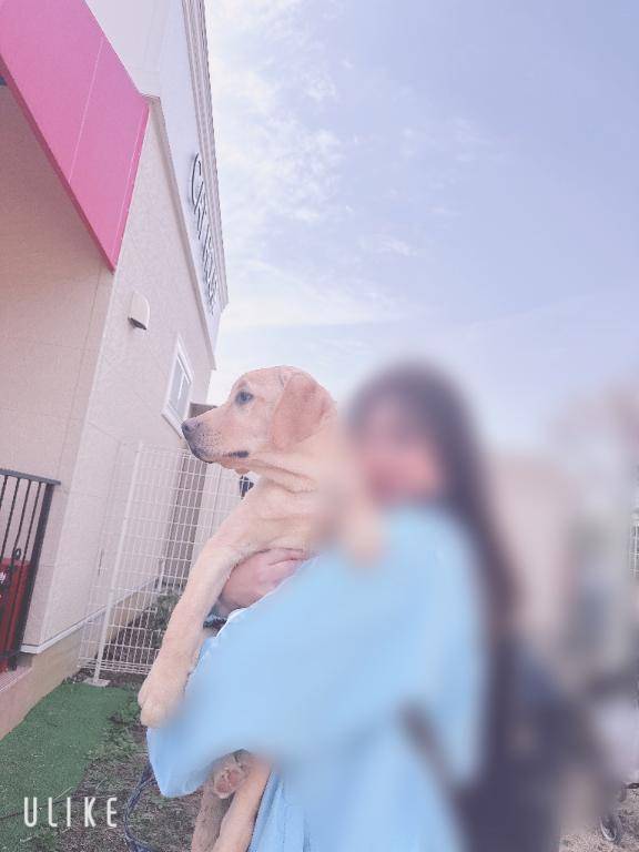 川島（変態美熟女お貸しします。）