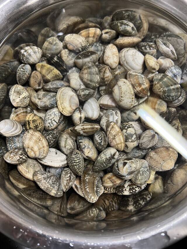 私のカイも食べて🐚‎🤍(木更津産)