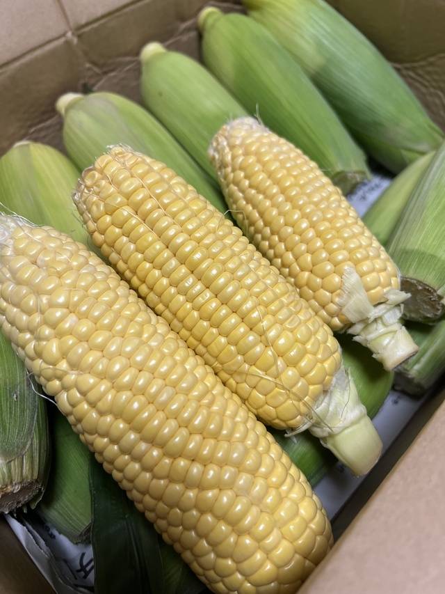 訳ありとうもろこし🌽