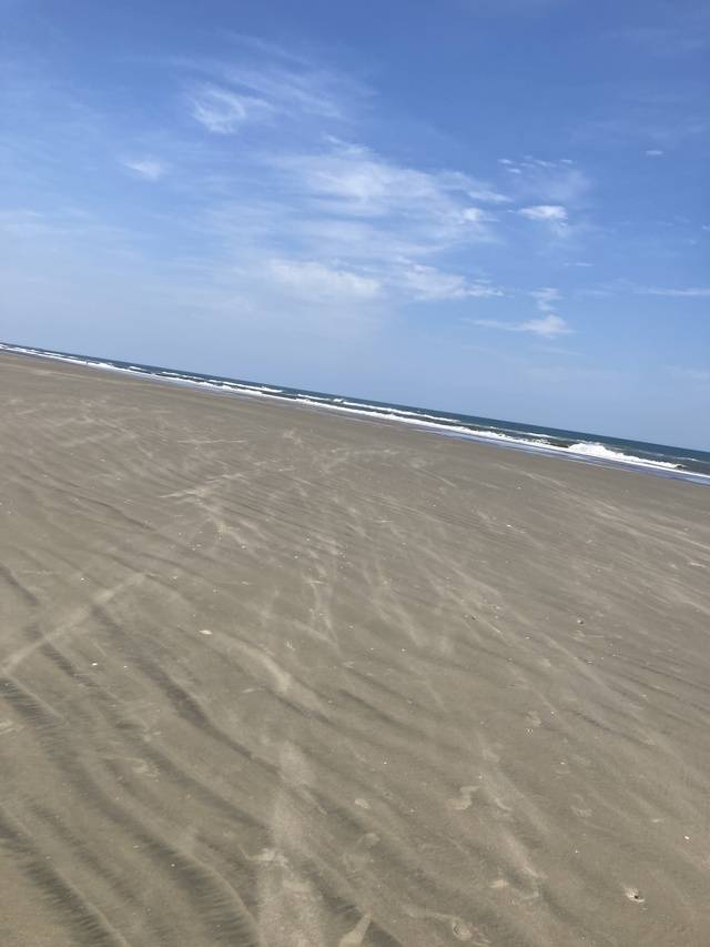 日曜日のお礼&amp;次は土曜日！