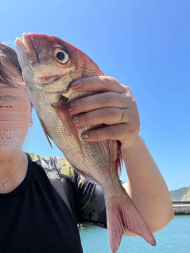 今日の成果🐟‪˜˷メデ鯛よぉ〜