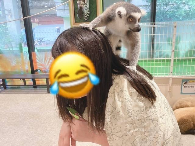 人類が猿に負けた日ꉂꉂ🐒