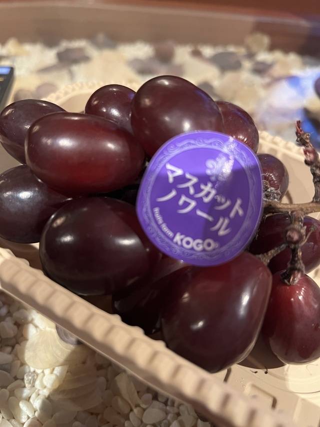 シャインマスカットの息子‼️マスカットノワール🍇🥫