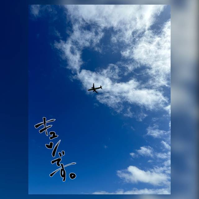 🩷さくらの山公園✈️🩷