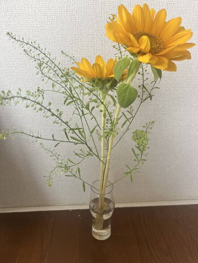 10月5日出勤します(*´꒳`*)🍀*゜