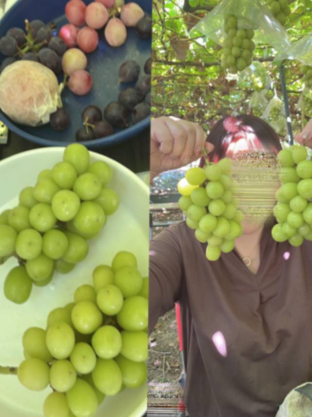 マスカット沢山食べる気マンマンでしたが…🍇