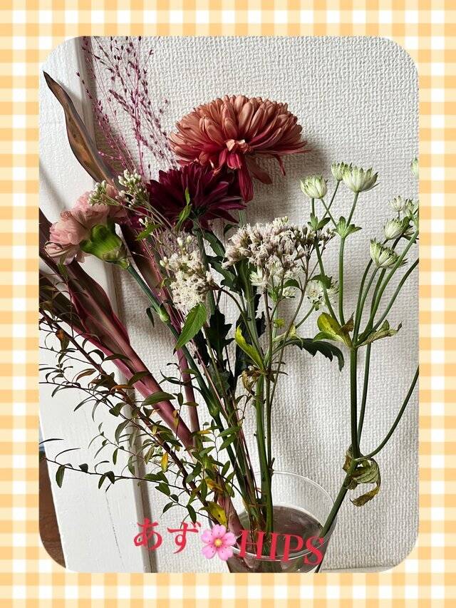 綺麗なお花さんや観葉植物と暮らして、