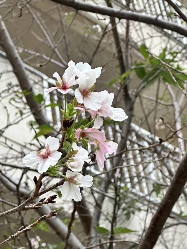 さむーい😖🍃