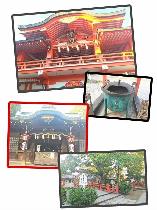 初✨千葉神社に行ってみました🐱