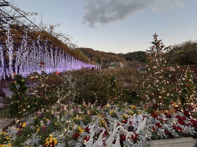 交通事故で〇〇するより多いって知ってました？？