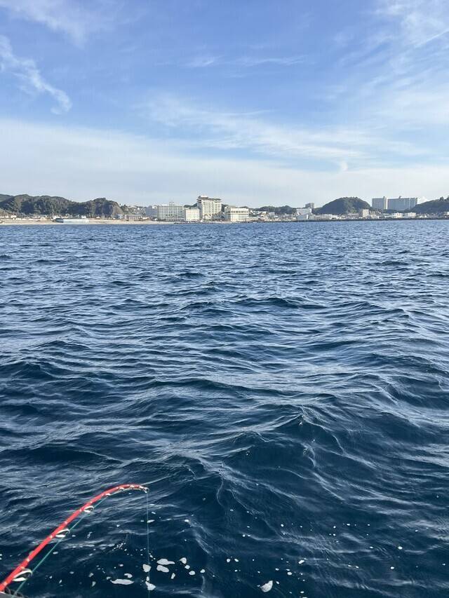 今日の成果は･･･🐟‪˜˷