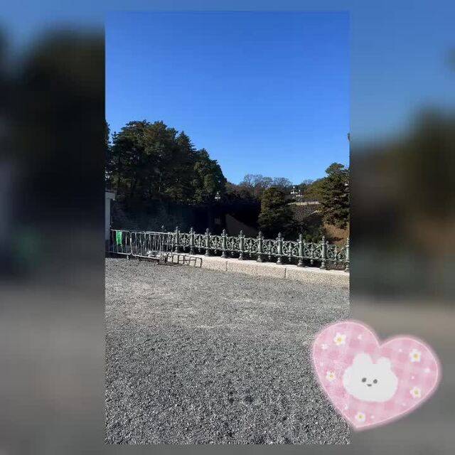 🩷一般参賀は晴れる！！🇯🇵☀️🩷