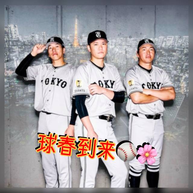 🩷球春到来⚾️🌸🩷