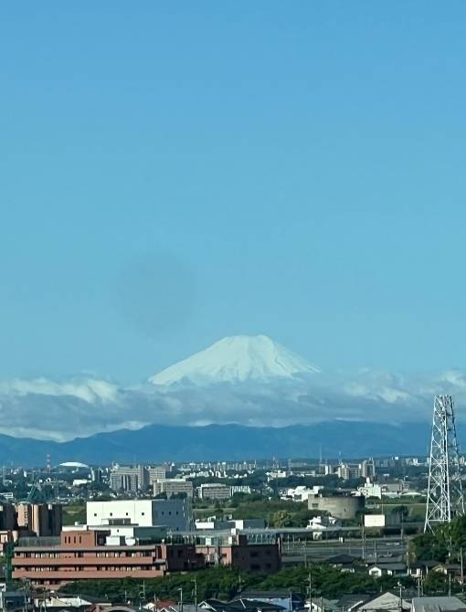 出勤しましたぁ✨