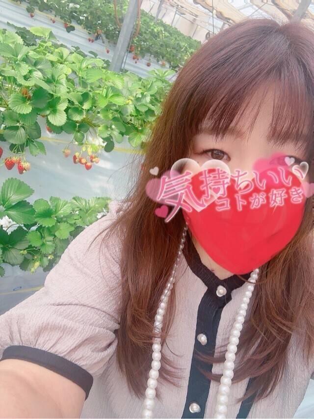 おはようございます❤️