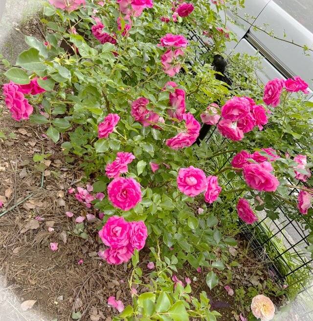 新規のH様へ💝💋