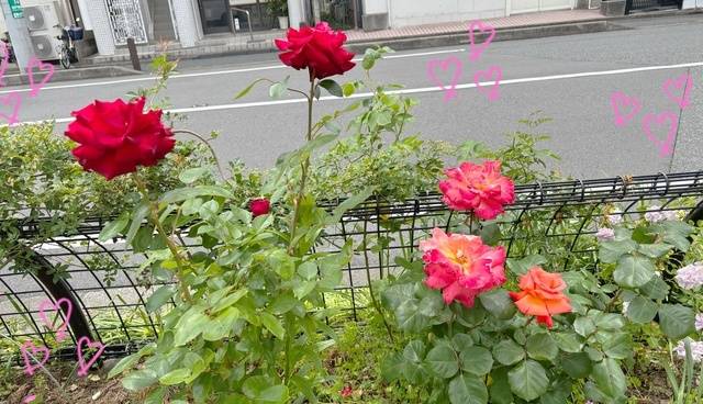 S様ありがとう💗🫶