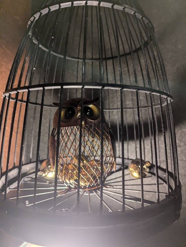 お礼♥