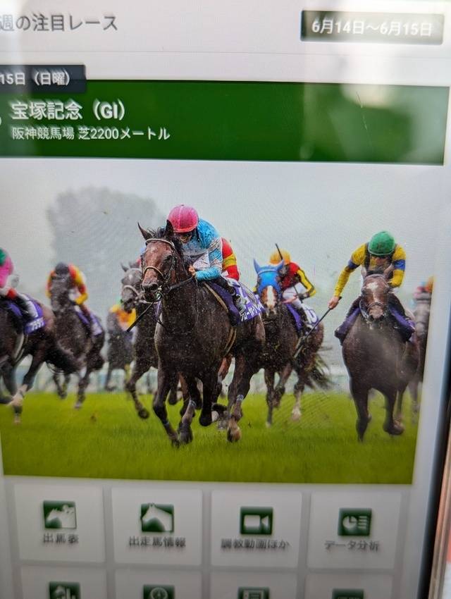 宝塚記念✨