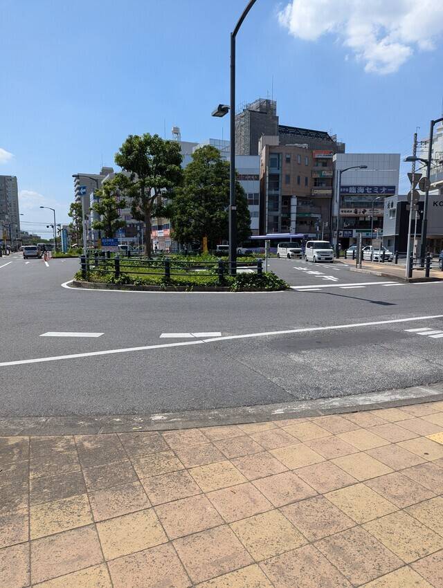 新松Do⸝⋆
