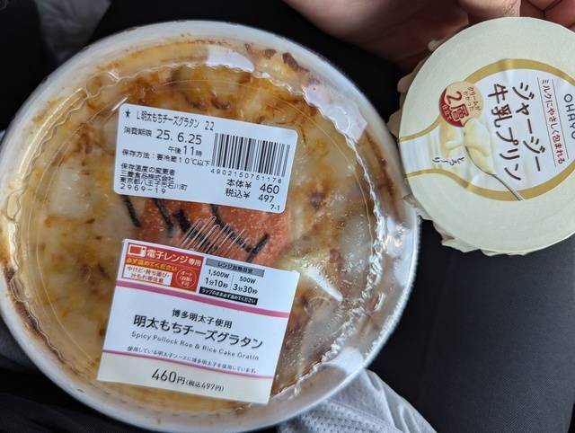 お昼ご飯ˡᵘⁿᶜʰ𓌉◯𓇋1095