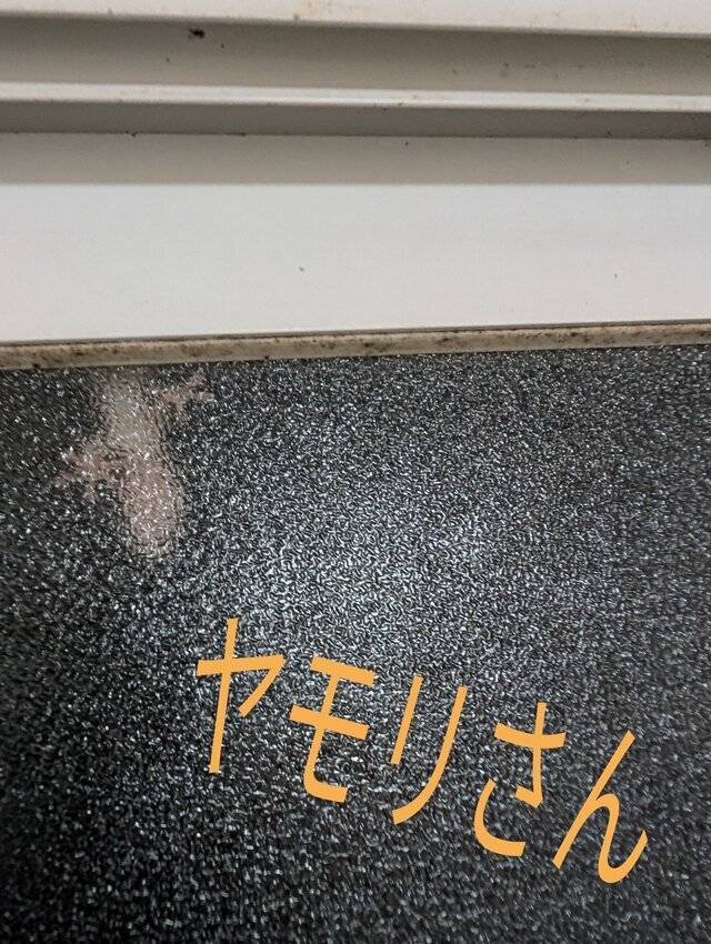 いつもありがとう☺️🌟