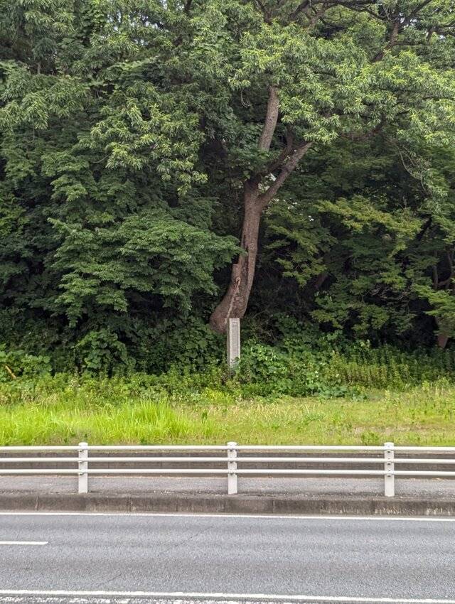 お礼♥