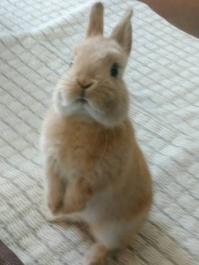 アカリ帰宅♡