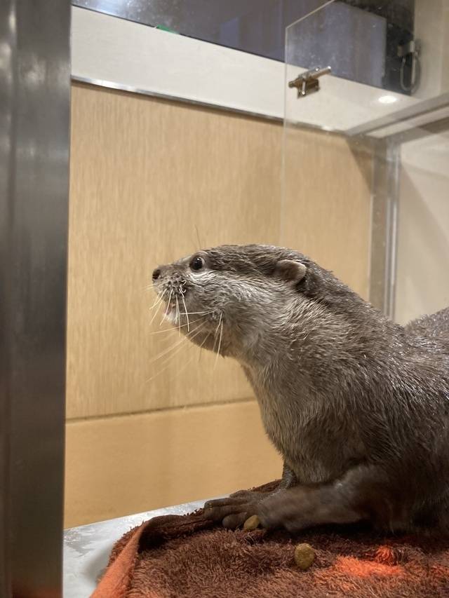 よるの時間は撮影がありまして…