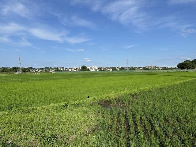 ご報告です‼︎