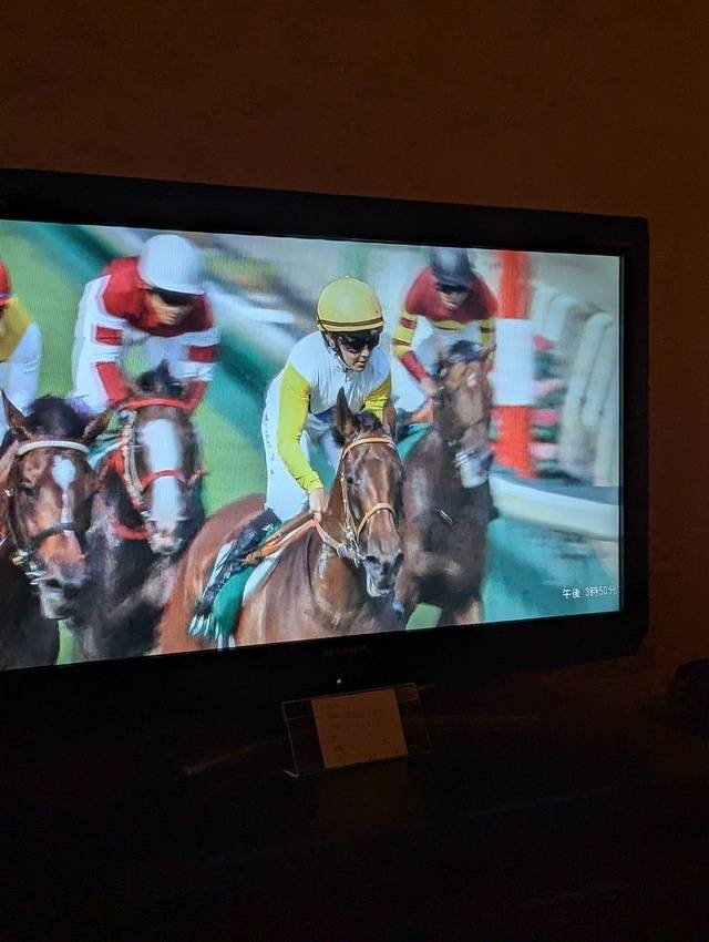 🏇