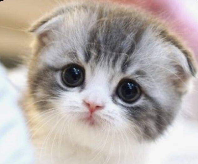 出勤しました～☺️