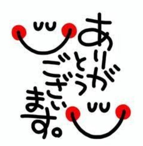 ハイビスカス T様