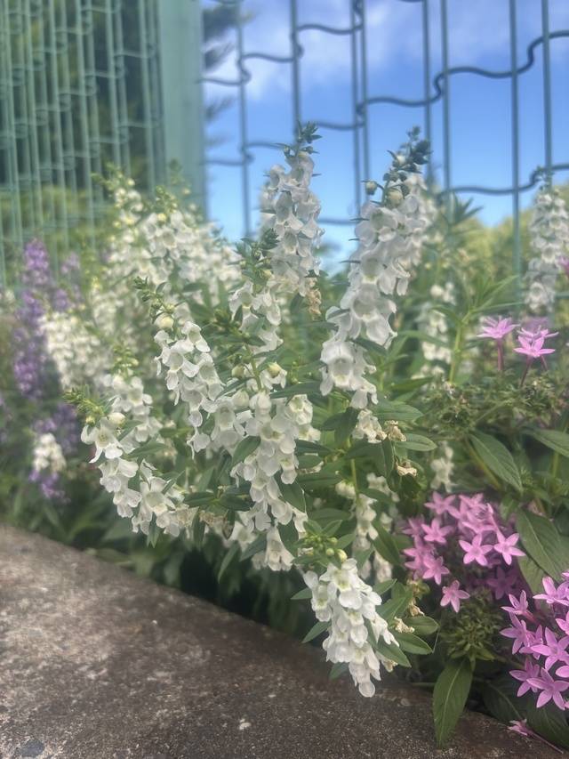 出勤しました。