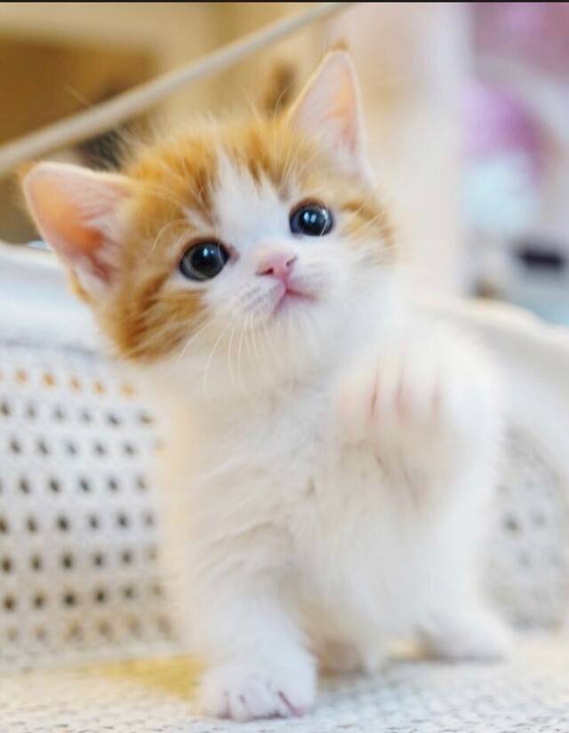 出勤しました～☺️