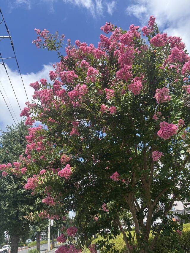 おはようございます