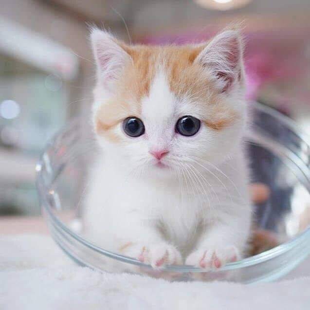 出勤しました～☺️