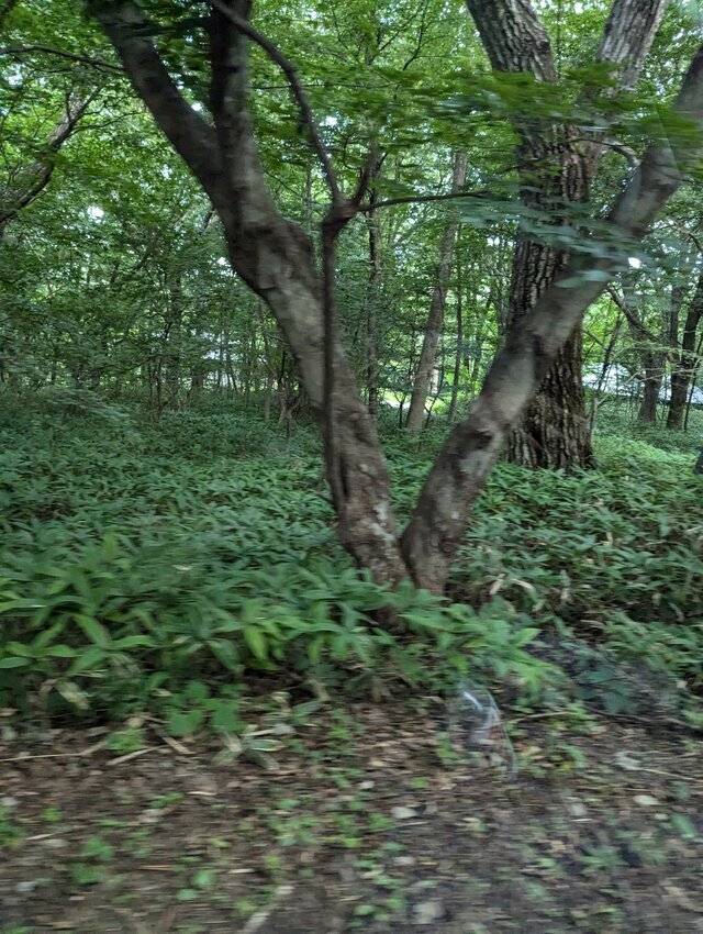 お礼♥
