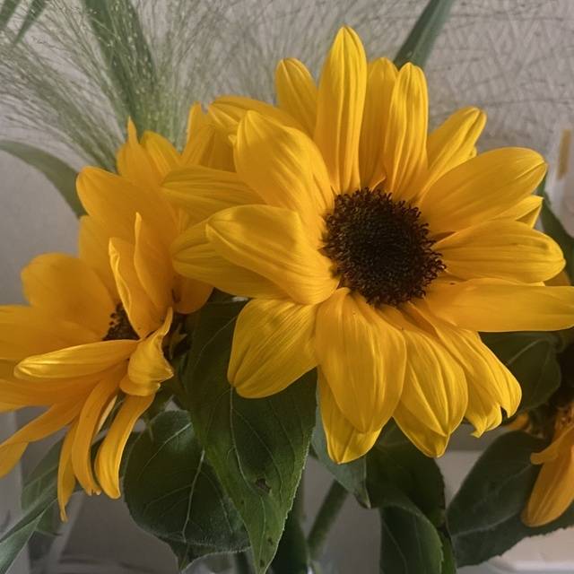 明日明後日出勤💛