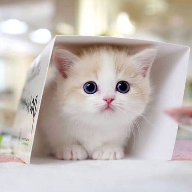 出勤しました～☺️
