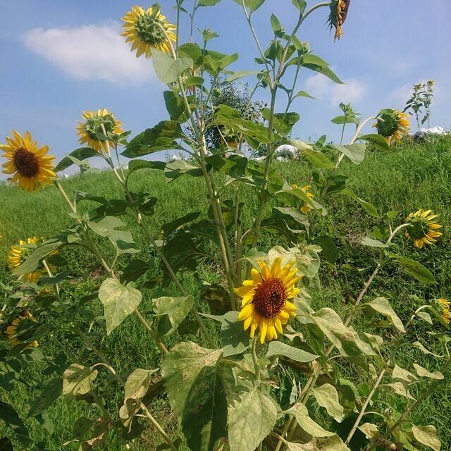 おはようございます☺️