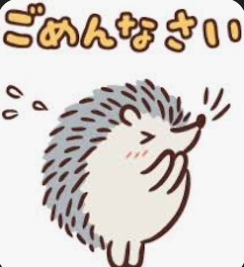 明後日木曜日には！！