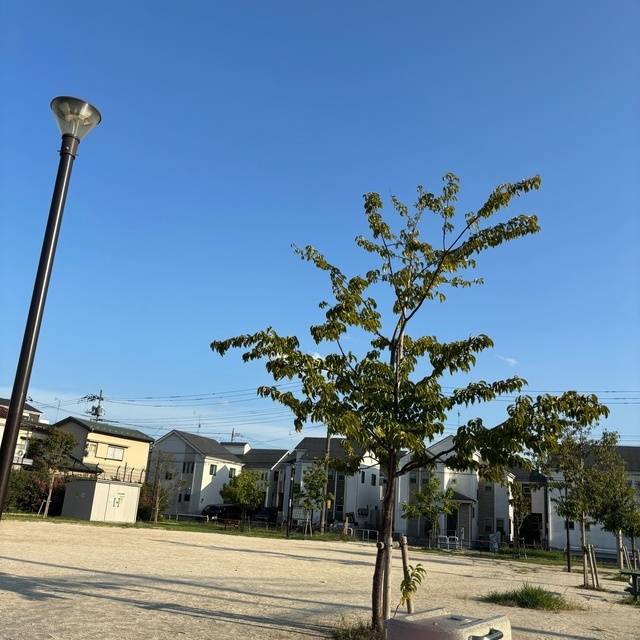 体力回復するね❣️❣️