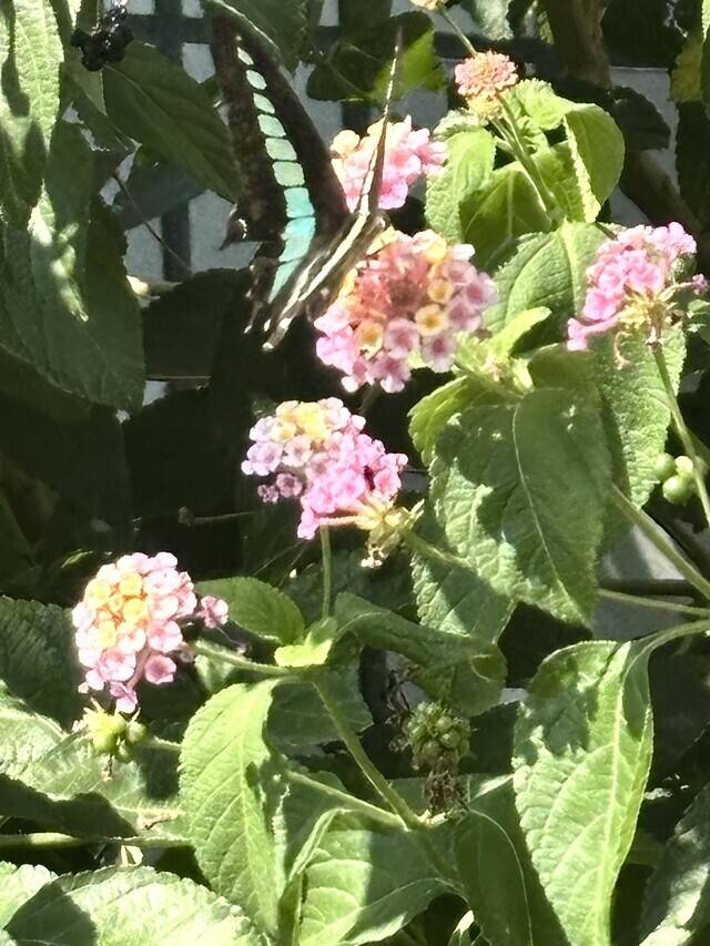 出勤致しました!