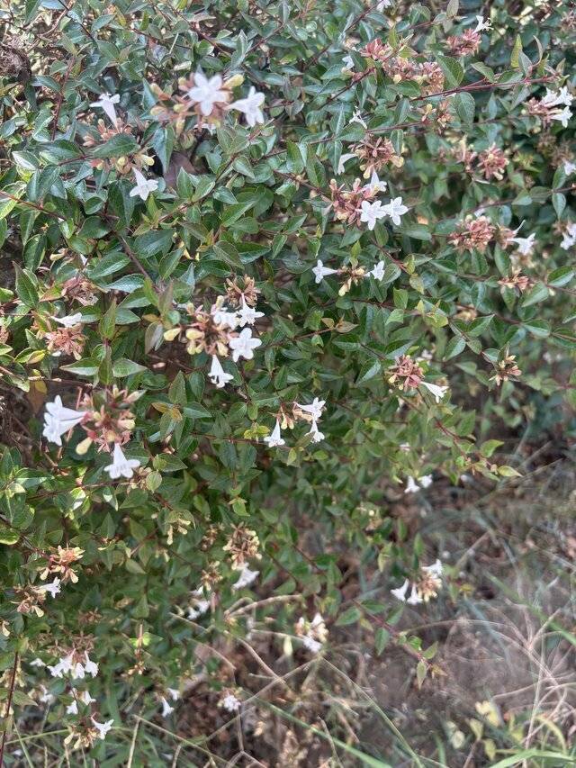 最近雨降りますね