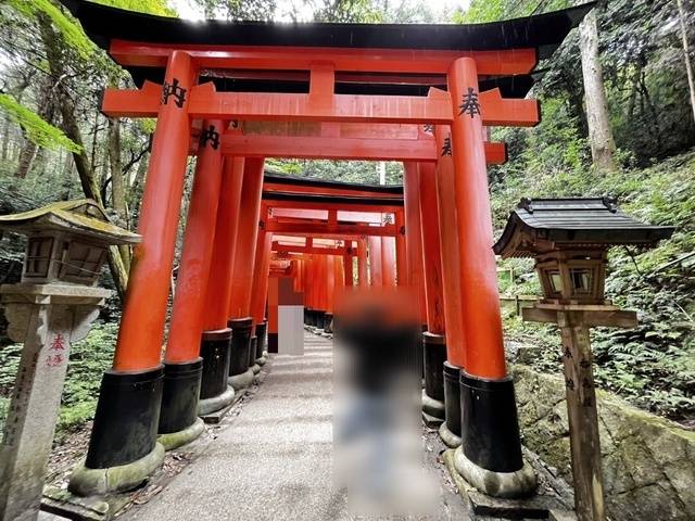 輪廻の果報があらんことを🍁🍂