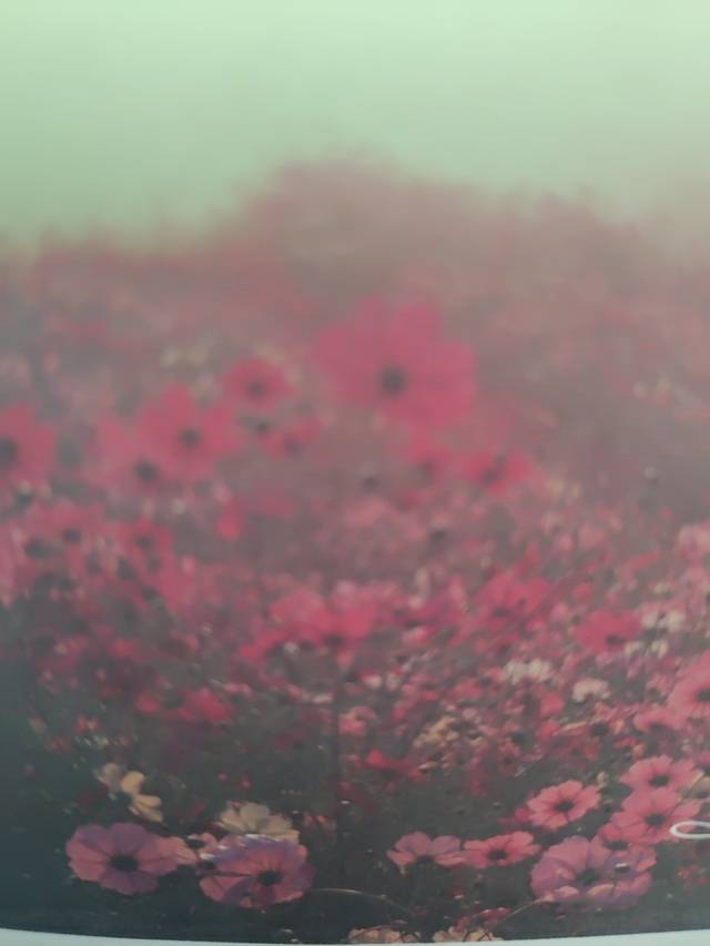 朝は