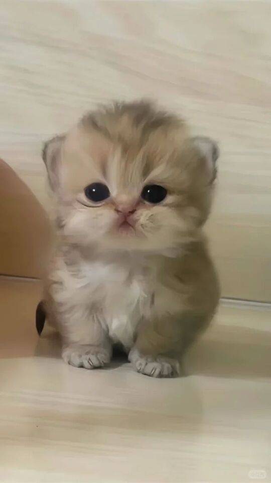 暑いですね💦