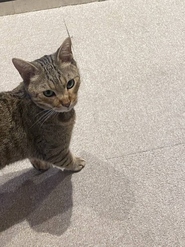 明日のご予約ありがとうございます♡
